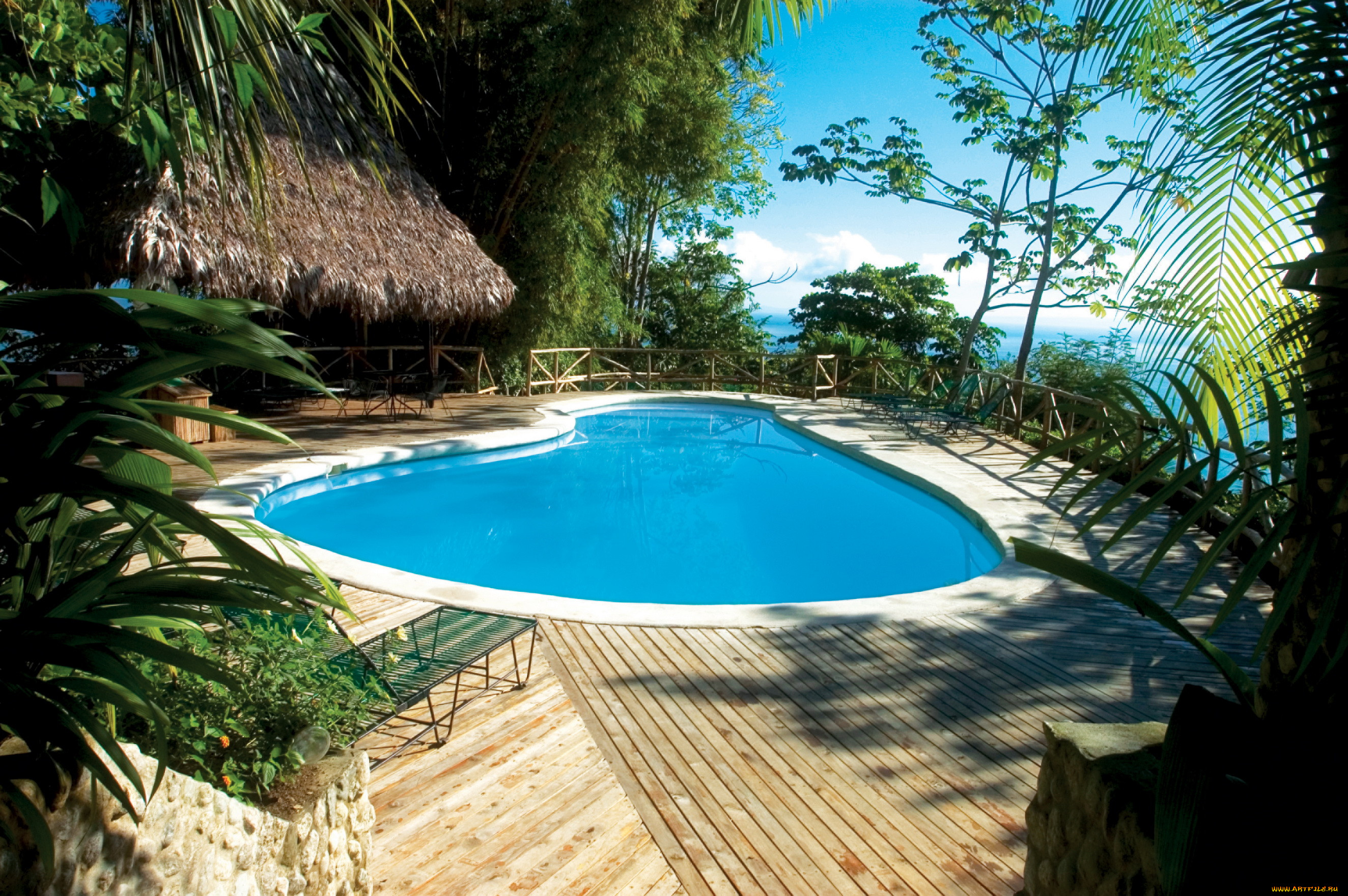 corcovado, national, park, costa, rica, , , , 